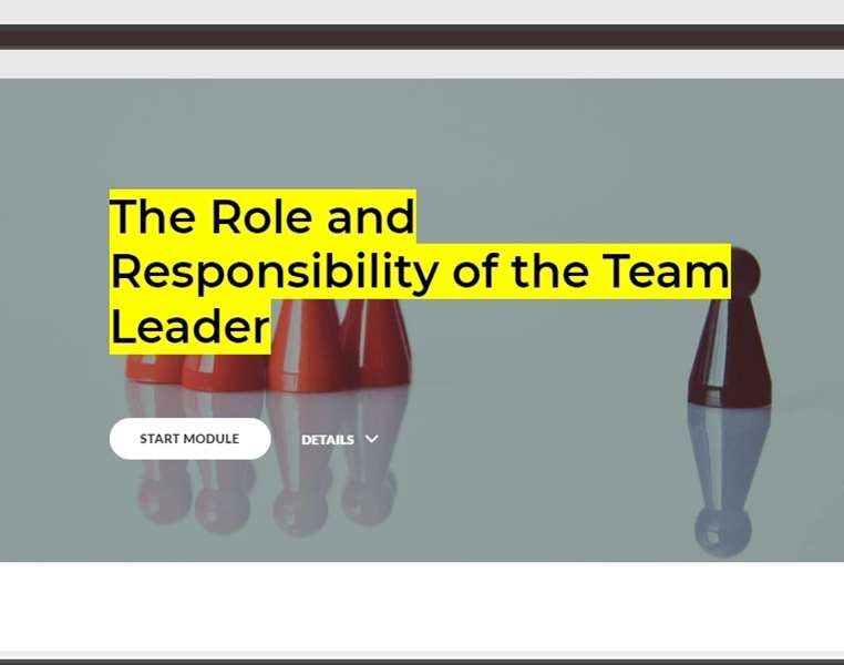 The Role and Responsibility of the Team Leader
