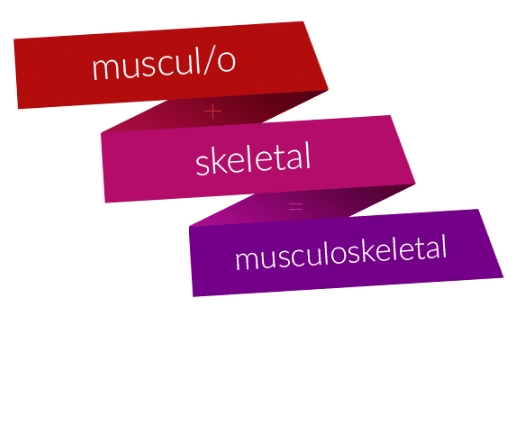 Muskuloskeletal System