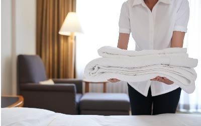 Cleaning to Professional Standards