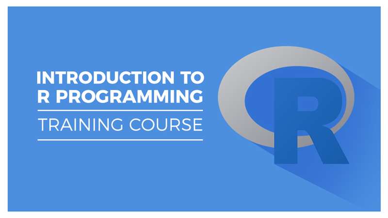 R Programming for Beginners: Includes R Mini-Project!