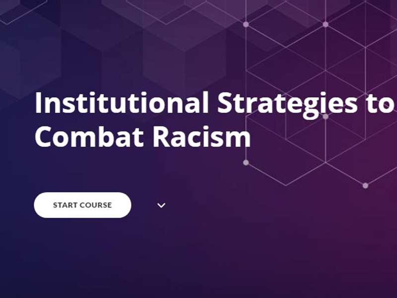 Institutional Strategies to Combat Racism