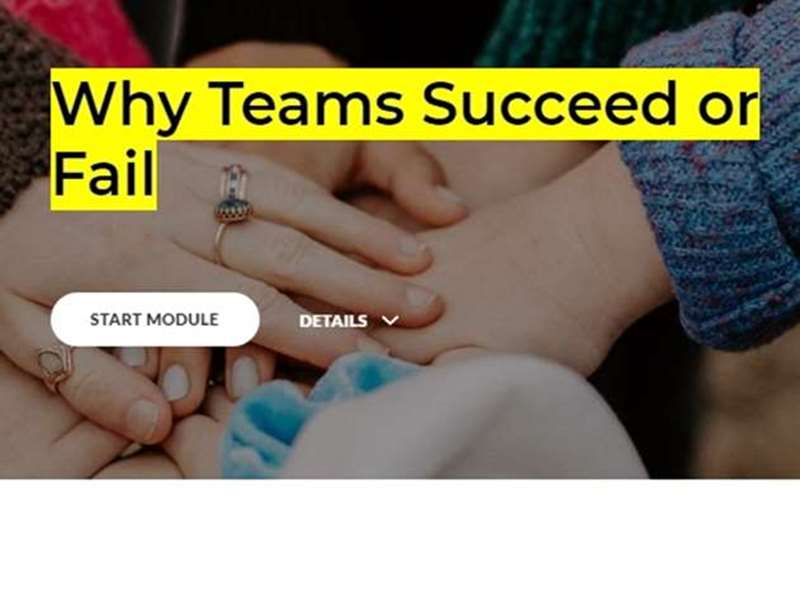 Why Teams Succeed or Fail