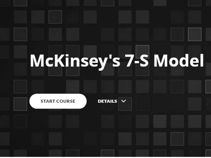 McKinsey's 7-S Model