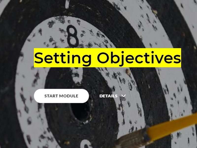Setting Objectives
