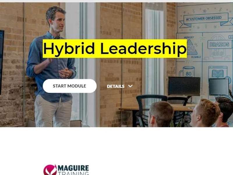 Hybrid Leadership