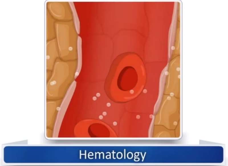 Hematology, Lymphatic, Immune & Oncology