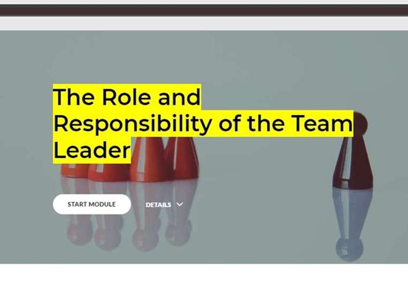 The Role and Responsibility of the Team Leader