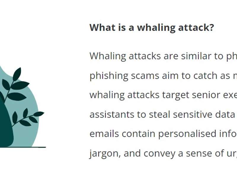 Whaling attack