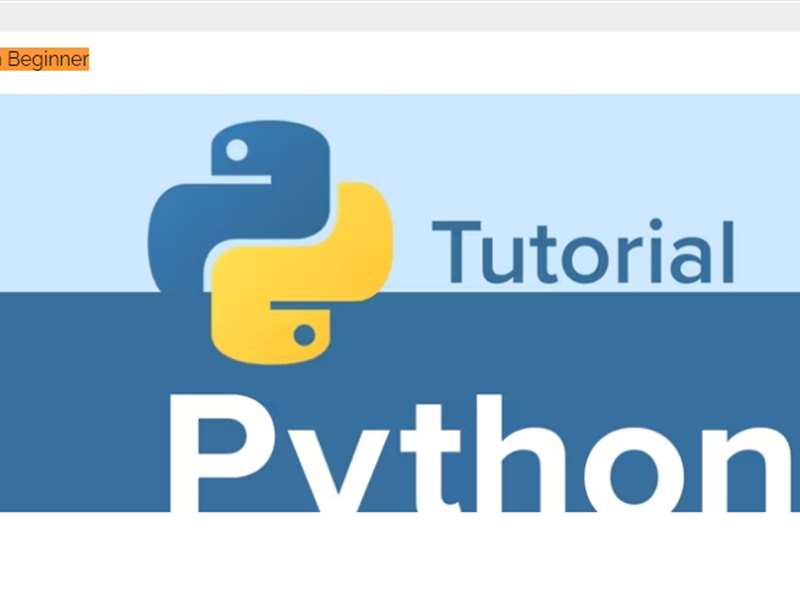 Python Beginner