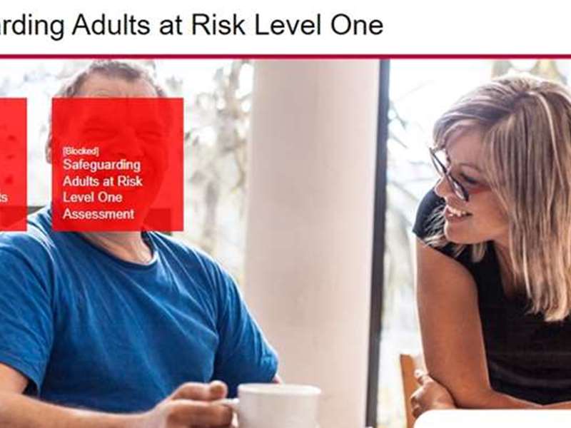 Safeguarding Adults at Risk Level One