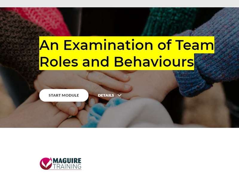 An Examination of Team Roles and Behaviours