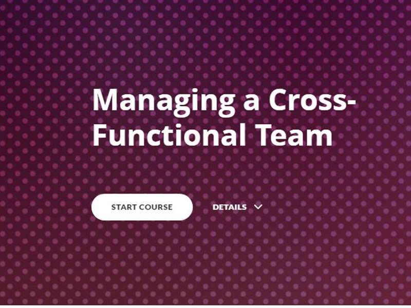 Managing a Cross-Functional Team