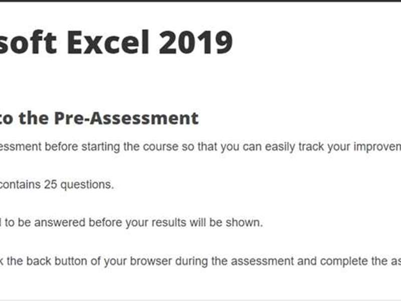 Microsoft Excel (2019)
