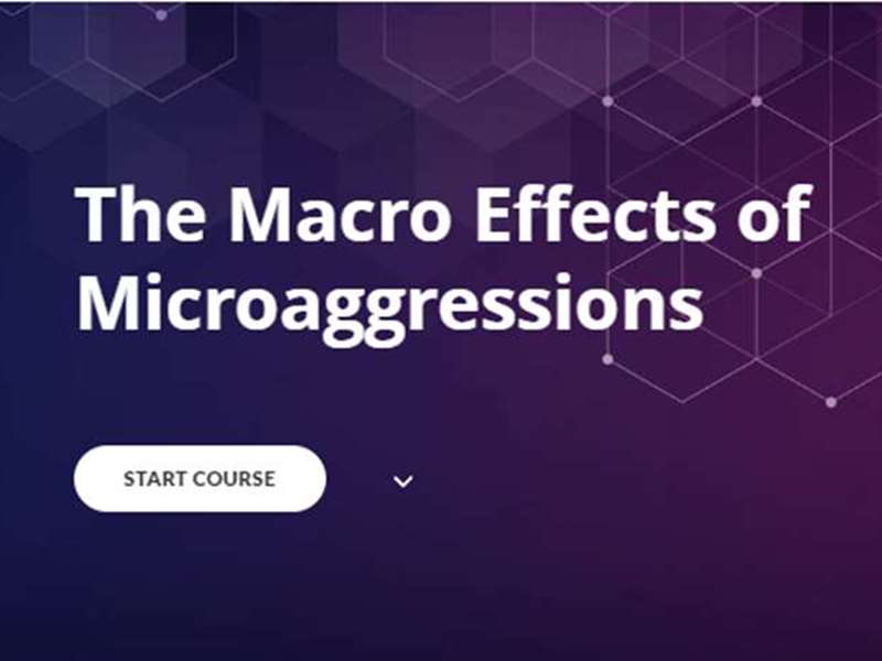 The Macro Effects of Microaggressions