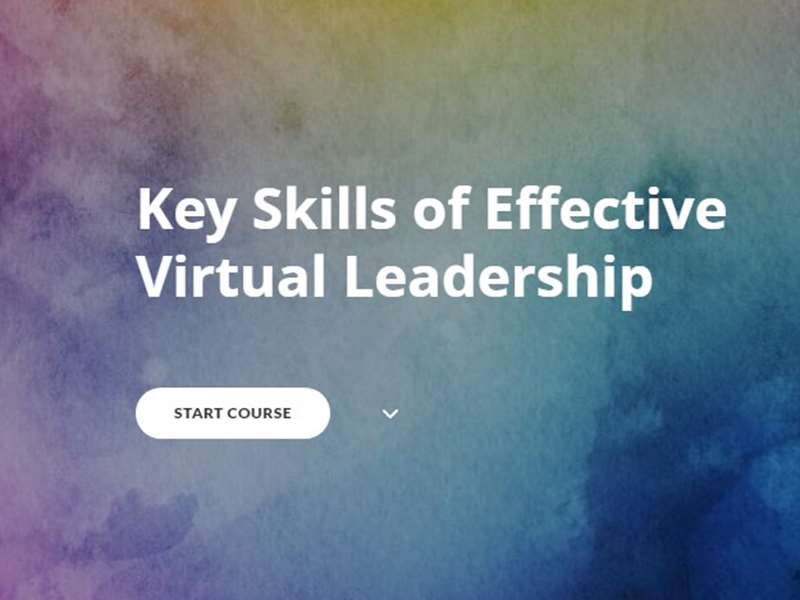 Key Skills of Effective Virtual Leadership