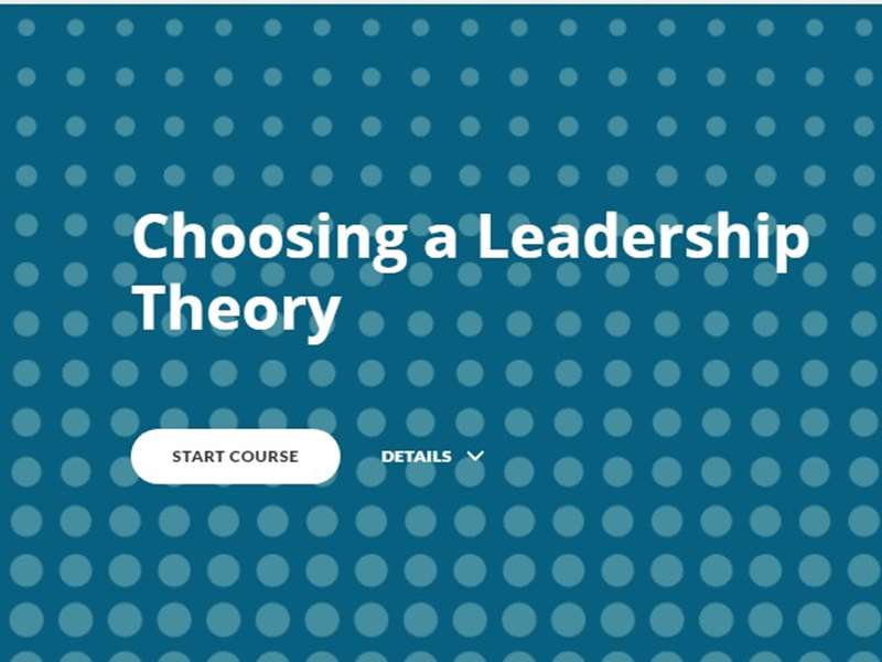 Choosing a Leadership Theory