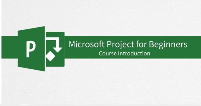 Microsoft Project for Beginners 2016