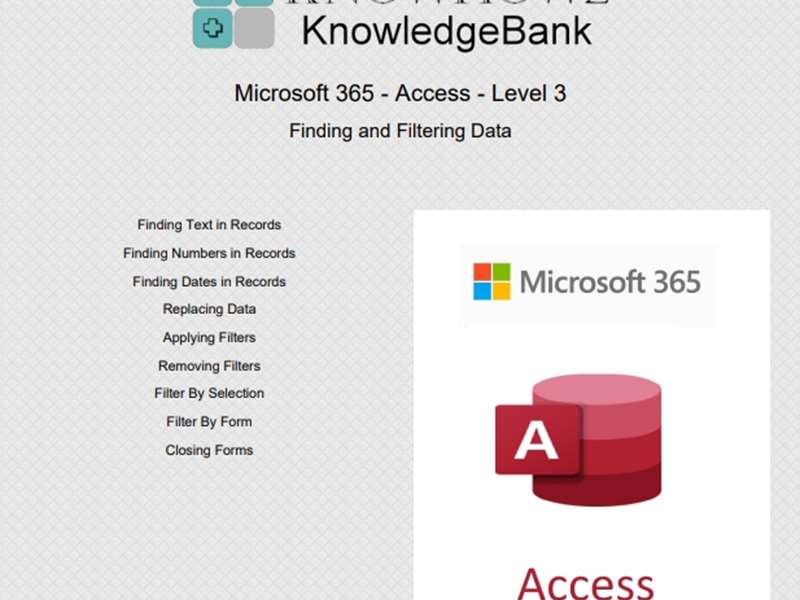 Microsoft 365 - Access - Level 3