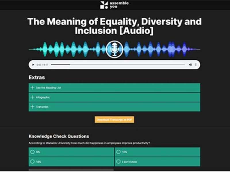 The Meaning of Equality, Diversity and Inclusion