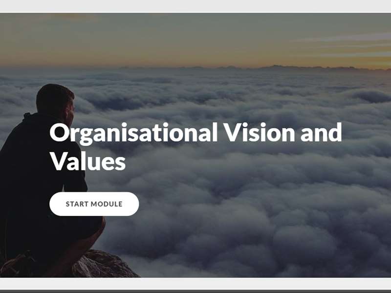 Organisational Vision and Values