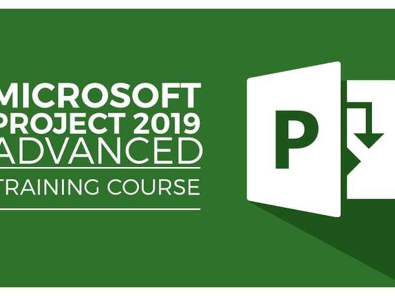 Microsoft Project 2019 Advanced