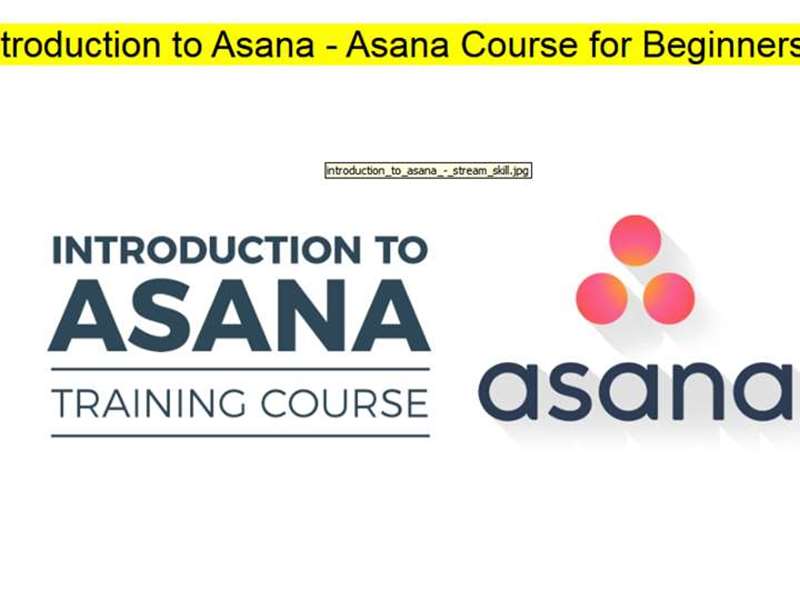 Introduction to Asana - Asana Course for Beginners