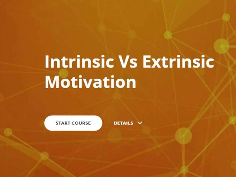 Intrinsic Vs Extrinsic Motivation