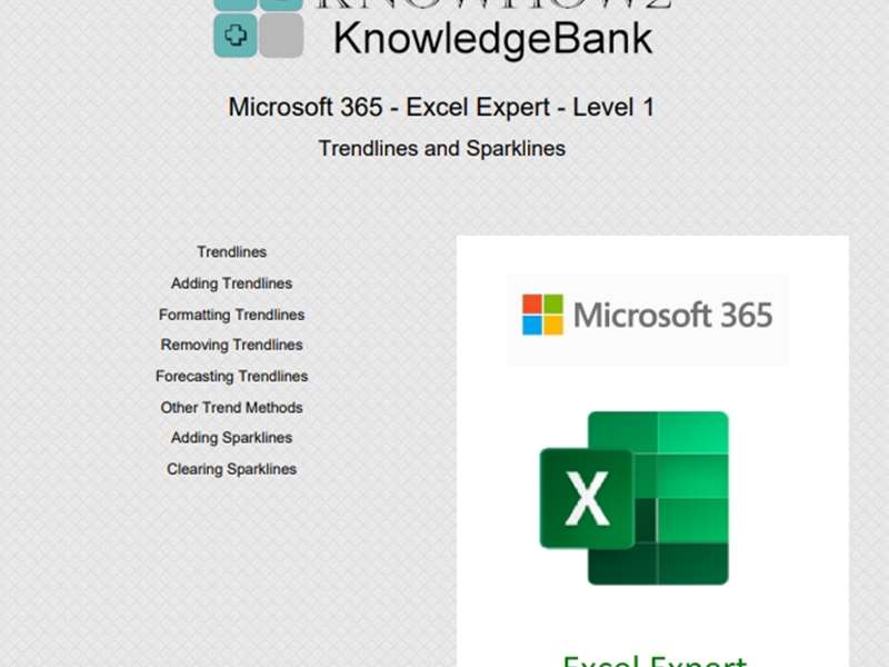 Microsoft 365 - Excel Expert - Level 1