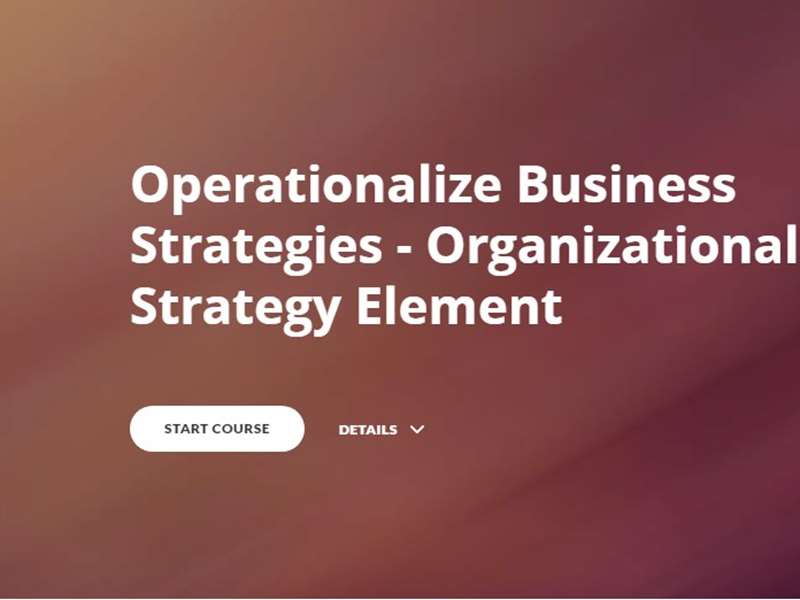 Operationalize Business Strategies - Organizational Strategy Element