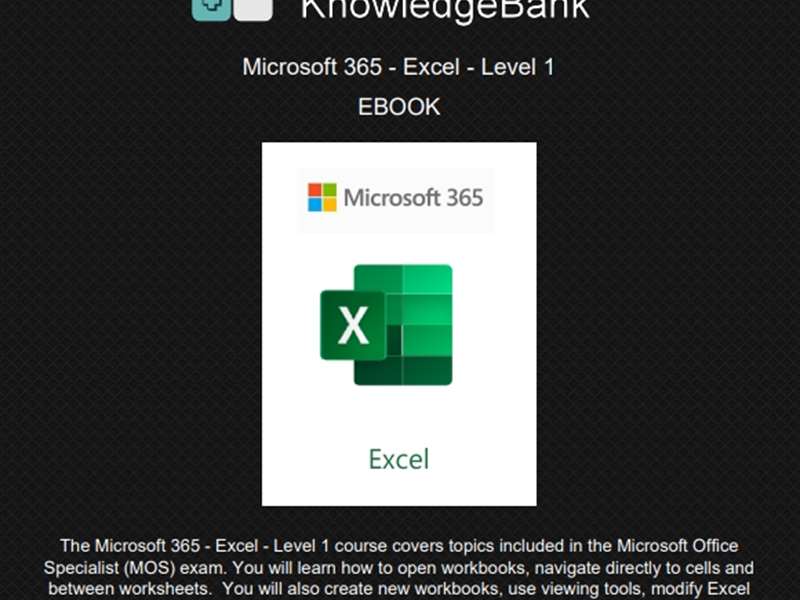 Microsoft 365 - Excel - Level 1