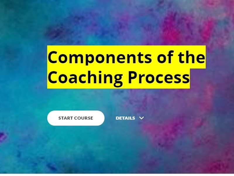 Components of the Coaching Process