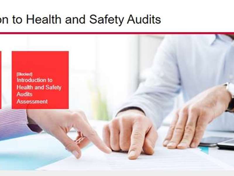 Introduction to Health and Safety Audits
