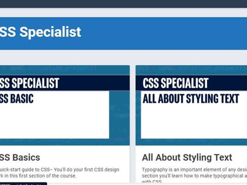 CSS Specialist