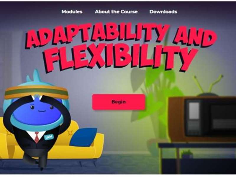 Adaptability and Flexibility