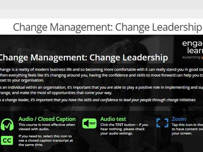 Change Management: Change Leadership