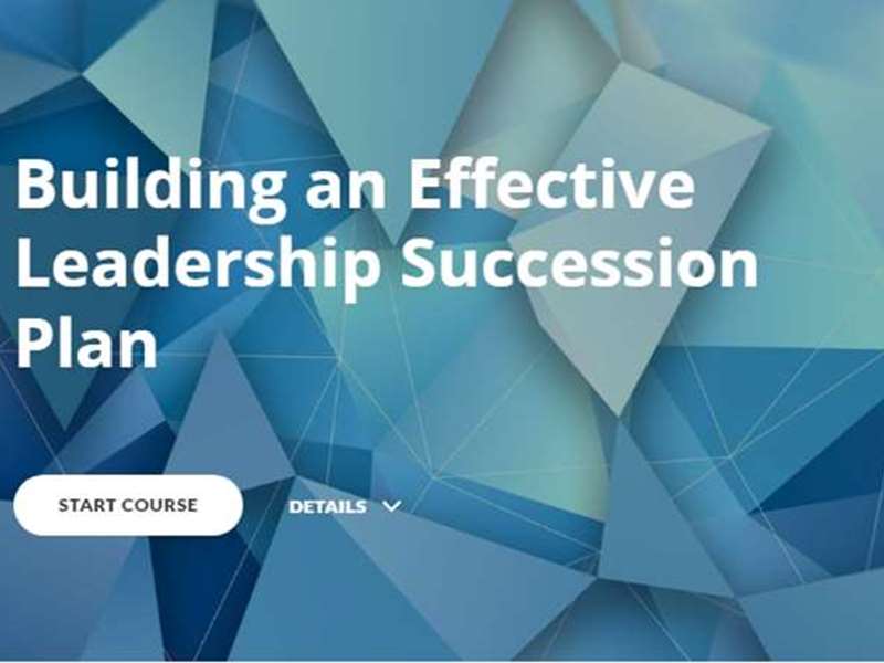Building an Effective Leadership Succession Plan