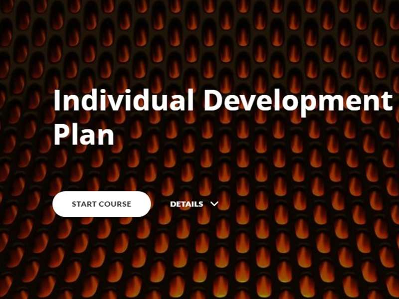 Individual Development Plan