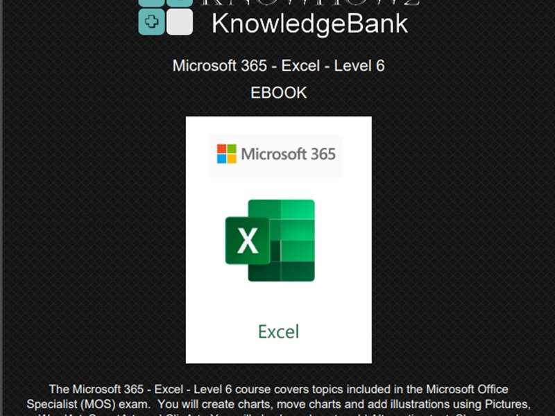 Microsoft 365 - Excel - Level 6
