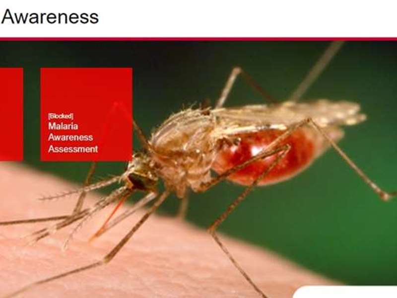 Malaria Awareness