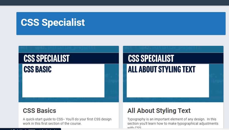 CSS Specialist