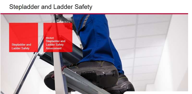 Stepladder and Ladder Safety